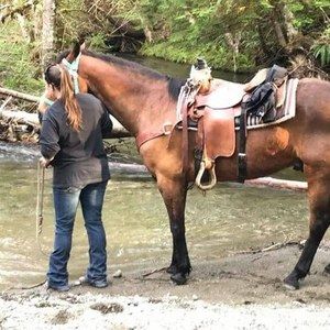 Meet your Posher, Beverley